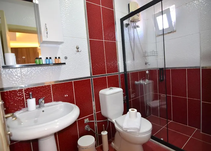 Apart Otel Mykonut 4*