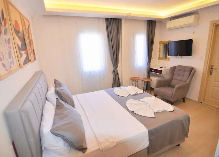 Apart Otel Mykonut 4*